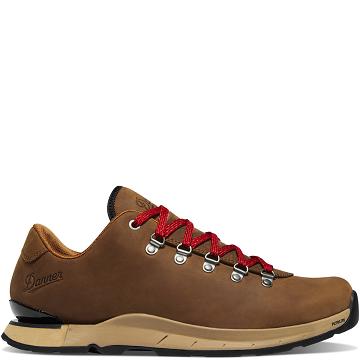Danner Mountain Overlook Wandelschoenen Heren Bruin | NL4784DN